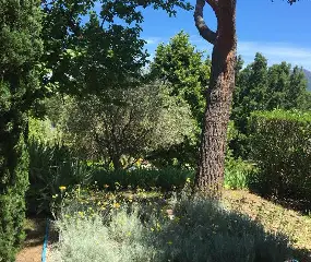 APPARTEMENT LIBECCIU STUDIO : Côté nature